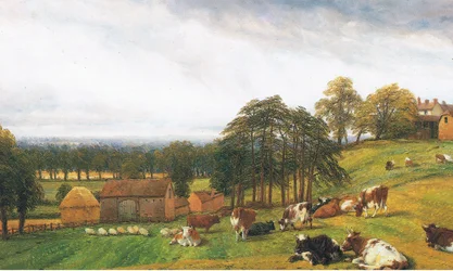 Kvæg og får på Old Park Farm